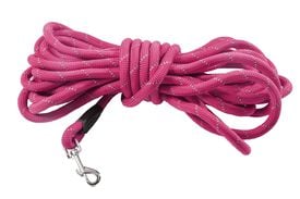 Bobby - Longe Walk Fuchsia pour Chiens