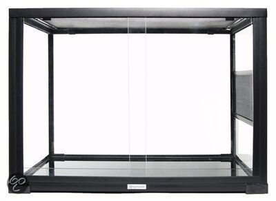 Animalis - Kit Gecko - 50cm Image num&eacute;ro 1