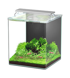 Aquatlantis - Aquarium Kubus Curve 30L - Essential