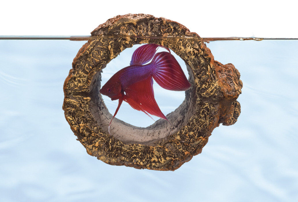 Zoomed - Tronc flottant artificielle pour Betta Image num&eacute;ro 2