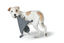 Hunter - Jouet Tapis à Renifler Billund Ours Plat - 40cm Indicateur image numéro 2