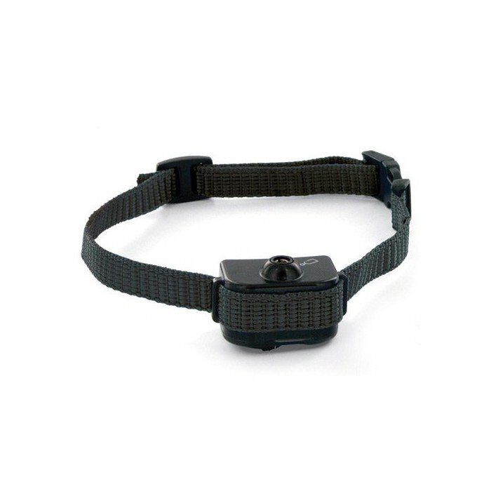 PetSafe - Collier anti-aboiement spray petit/moyen chien Image num&eacute;ro 2