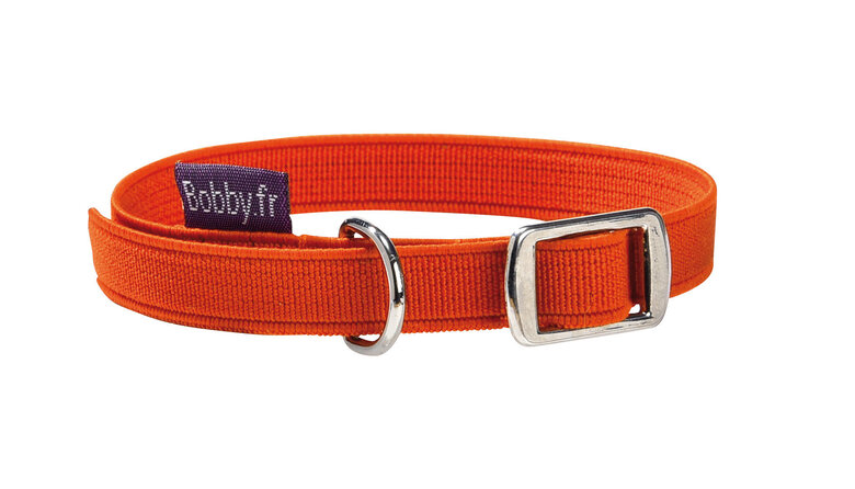 Bobby - Collier Elastique Anti-Etranglement Orange pour Chat - TU Image numéro 1 Bobby - Collier Elastique Anti-Etranglement Orange pour Chat - TU Image numéro 1