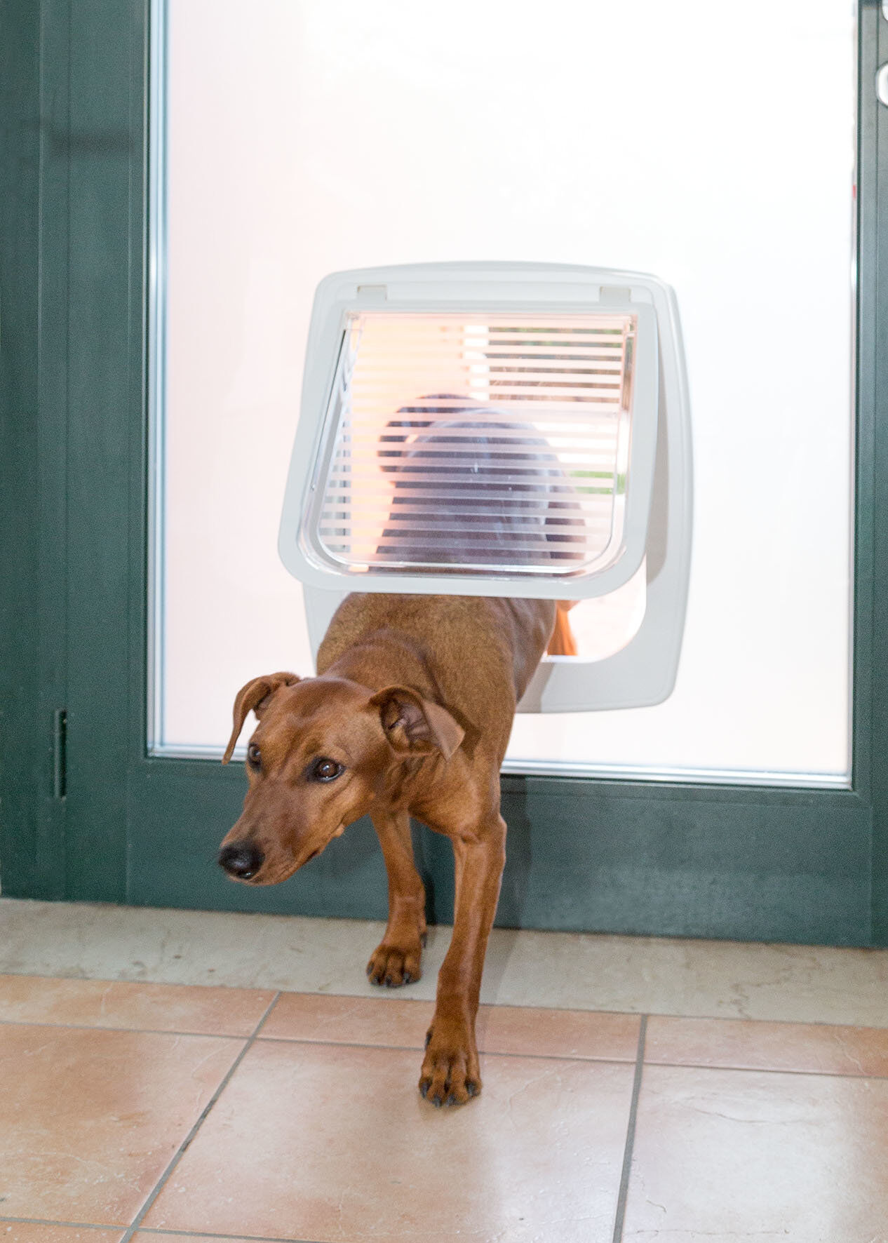 Ferplast - Chati&egrave;re Swing 11 pour Chiens - Gris Image num&eacute;ro 2