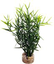 Labeo - Herbe marine colorée - Plante Artificielle Aquarium Indicateur image numéro 3