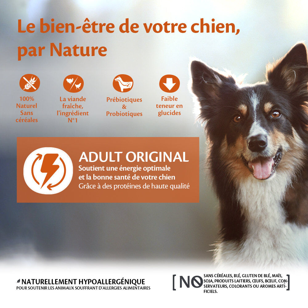 Wellness CORE - Croquettes Original Dinde et Poulet pour Chien - 10Kg Image num&eacute;ro 2