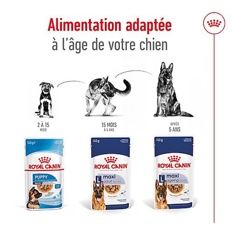 Royal Canin - Sachet Fraicheur Maxi Adult En Sauce Pour Chien De Grandes Races - 10x140g Image numéro 6 Royal Canin - Sachet Fraicheur Maxi Adult En Sauce Pour Chien De Grandes Races - 10x140g Image numéro 6