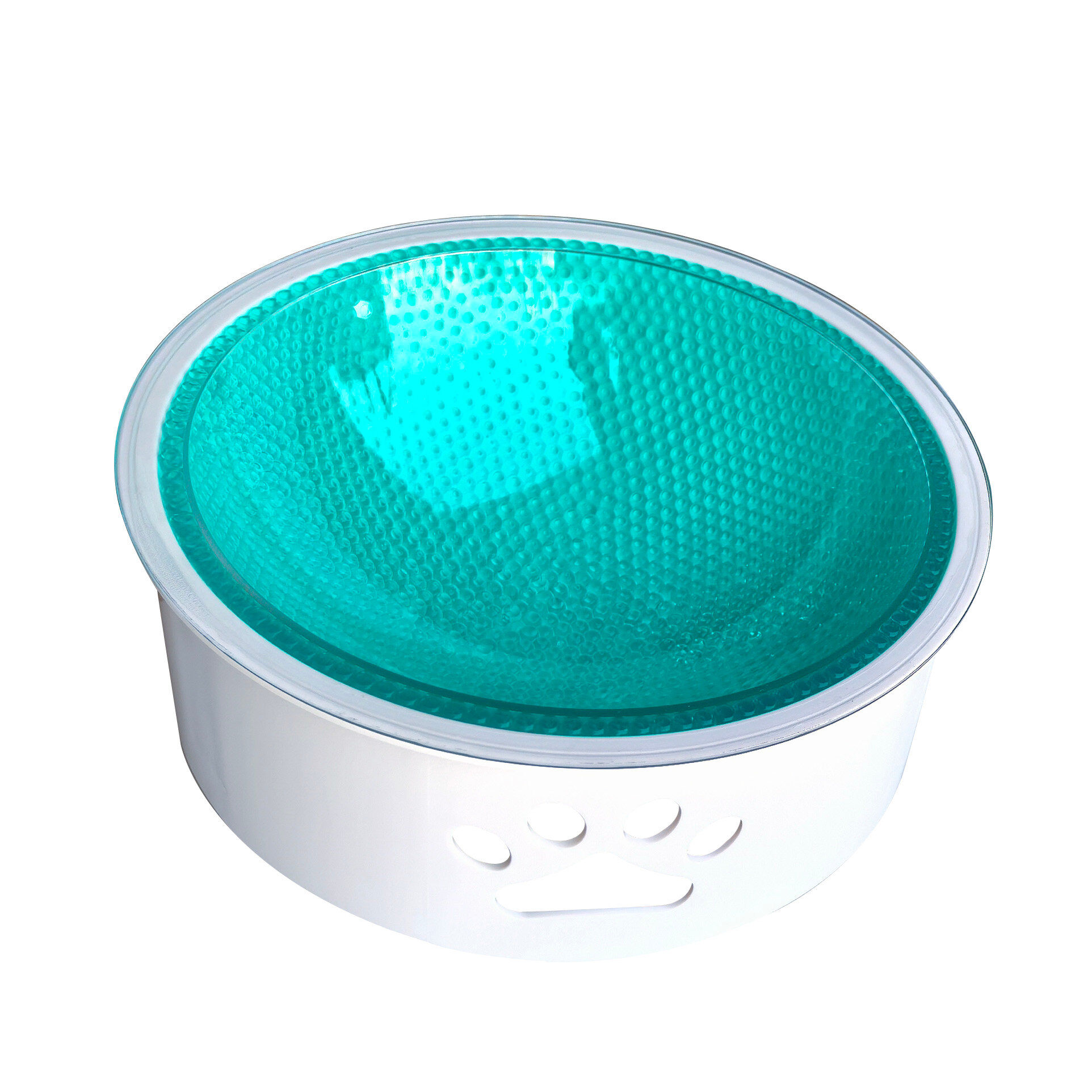 Summer Vibes - Bol Rafra&icirc;chissant pour Chiens - 22cm Image num&eacute;ro 1