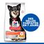 Hill's Science Plan - Perfect Digestion Small & Mini Croquettes Pour Chien  -  1,5kg Indicateur image numéro 2
