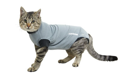 Kruuse - Body Suit Chat