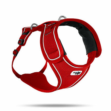 Curli - Harnais Belka Air-Mesh en Rouge pour Chien