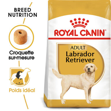 Royal Canin - Croquettes Labrador Adult pour Chiens - 3Kg