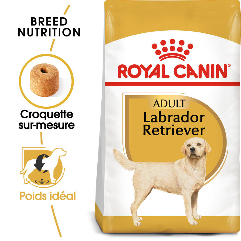 Royal Canin - Croquettes Labrador Adult pour Chiens - 3Kg image number null