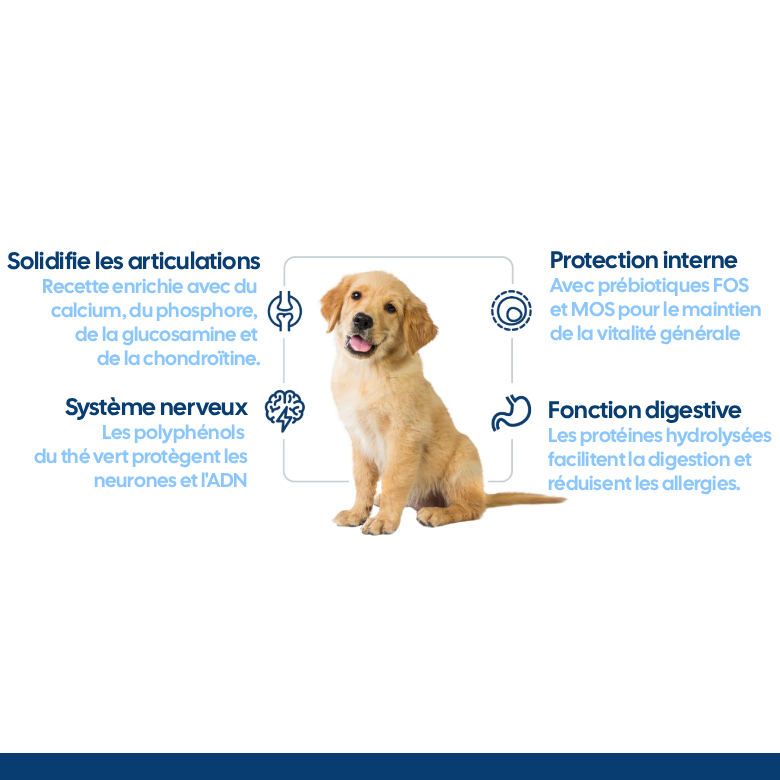 Nath - Croquettes Medium/Maxi Puppy au Poulet pour Chiot - 3Kg Image num&eacute;ro 2