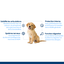 Nath - Croquettes Medium/Maxi Puppy au Poulet pour Chiot - 3Kg Indicateur image num&eacute;ro 2