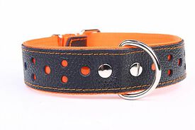 Yogipet - Collier Large Réfléchissant Cuir pour Chien Orange