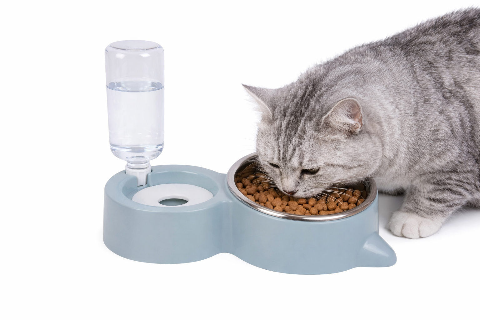 Leeby - Distributeur 2 en 1 d'Eau avec gamelle en Inox pour Chats - 500ml / 250ml Image num&eacute;ro 1