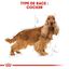 Royal Canin - Croquettes Cocker pour Chien Adulte - 3Kg Indicateur image numéro 2