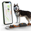 Weenect - Collier GPS XT Chiens - Orange Indicateur image numéro 2