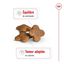 Royal Canin - Croquettes Mini 8+ pour Chien Adulte - 4Kg Indicateur image numéro 12