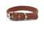 Matteo - Collier Cuir De Cactus Marron S pour Chiens - 2x39cm Indicateur image numéro 2