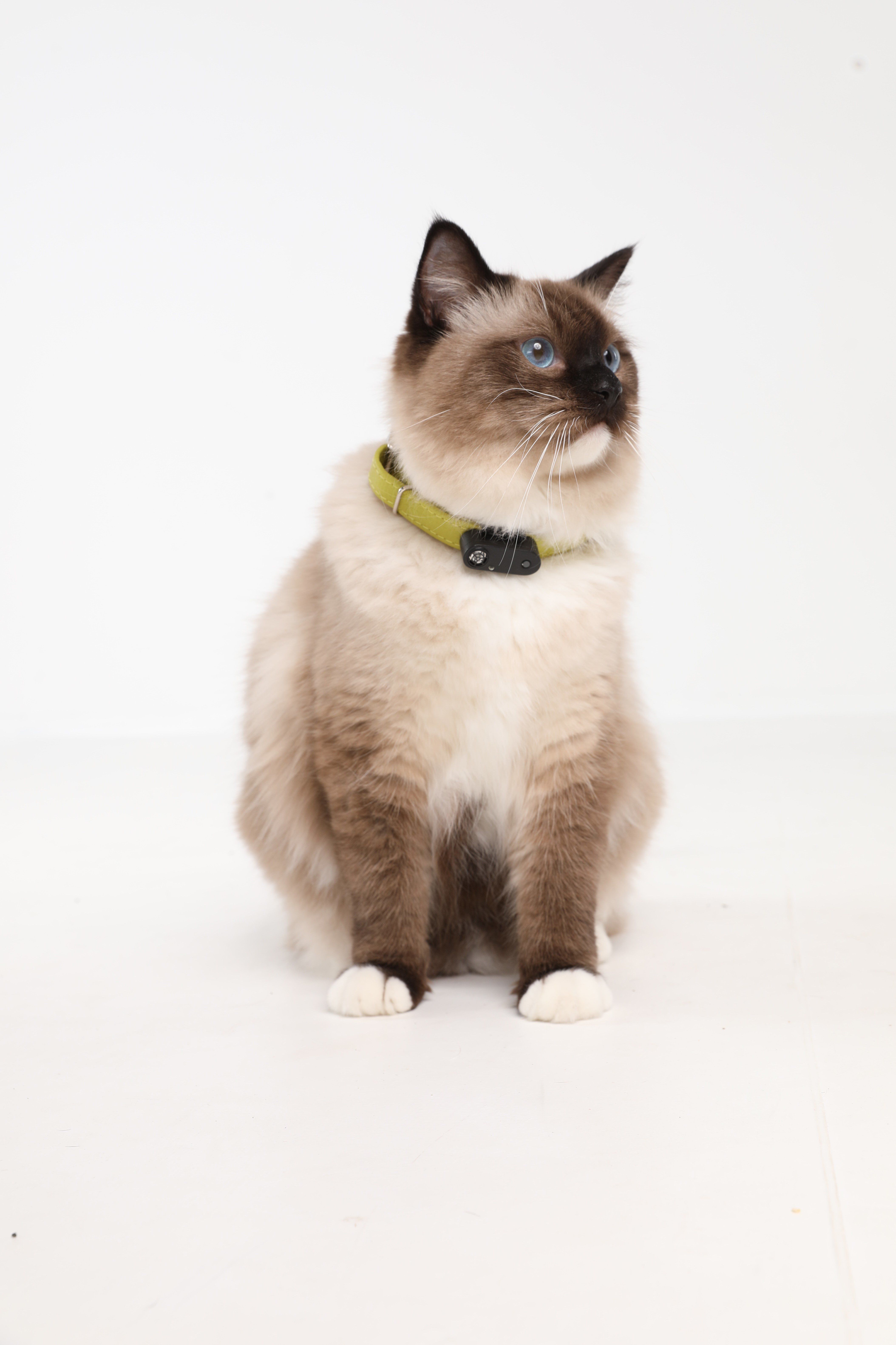 Tickless - R&eacute;pulsif Antiparasitaire Mini Cat Ultrason Rechargeable pour Chats - Noir Image num&eacute;ro 4