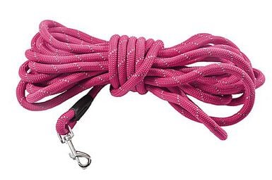 Bobby - Longe Walk Fuchsia pour Chiens