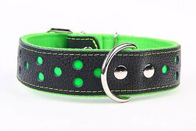 Yogipet - Collier Large Réfléchissant Cuir pour Chien Vert