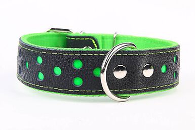 Yogipet - Collier Large Réfléchissant Cuir pour Chien Vert
