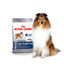 Royal Canin - Croquettes Maxi Light Weight Care pour Chien Adulte - 15Kg Indicateur image numéro 4
