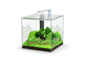 Aquatlantis - Aquarium Kubus 22L - Equipé