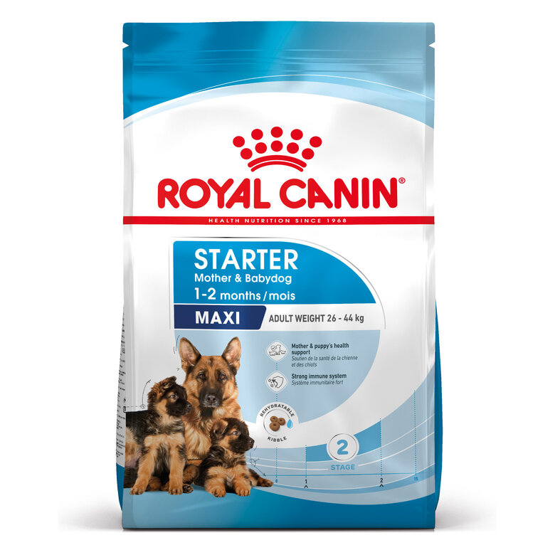 Royal Canin - Croquettes Starter Mother & Babydog Maxi - 4Kg Image numéro 2 Royal Canin - Croquettes Starter Mother & Babydog Maxi - 4Kg Image numéro 2