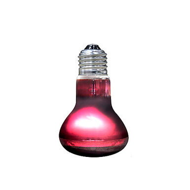 Arcadia - Lampe Infrarouge Basking Spot 50 Watt - Réptiles