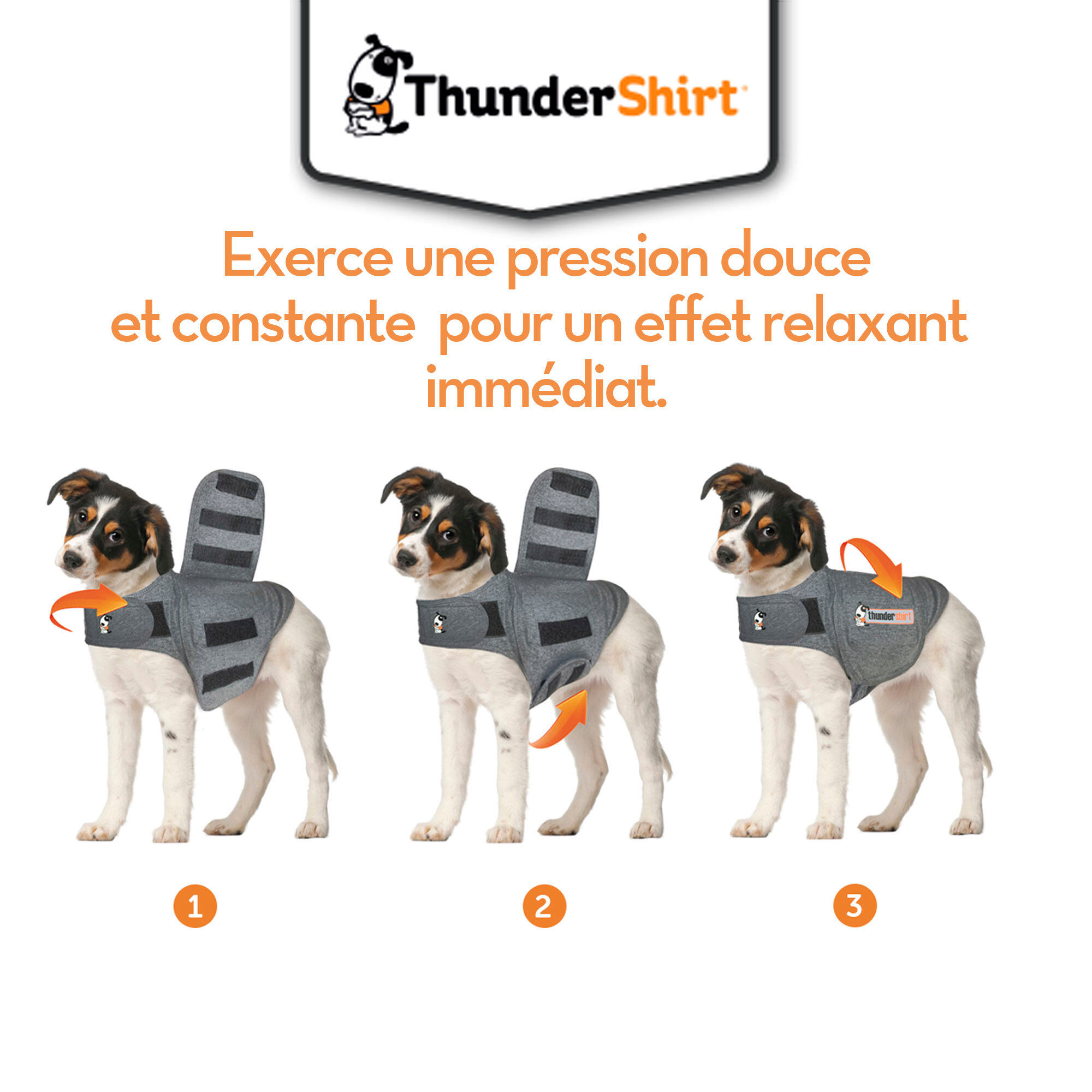 Thundershirt - Gilet Relaxant Bien Etre pour Chiens - XS Image num&eacute;ro 3