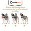 Thundershirt - Gilet Relaxant Bien Etre pour Chiens - XS Indicateur image numéro 3