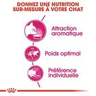 Royal Canin - Croquettes Aroma Exigent pour Chat - 2Kg image number null