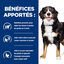 Hill's - Croquettes Prescription Diet J/D Metabolic + Mobility pour Chiens - 12Kg Indicateur image numéro 3