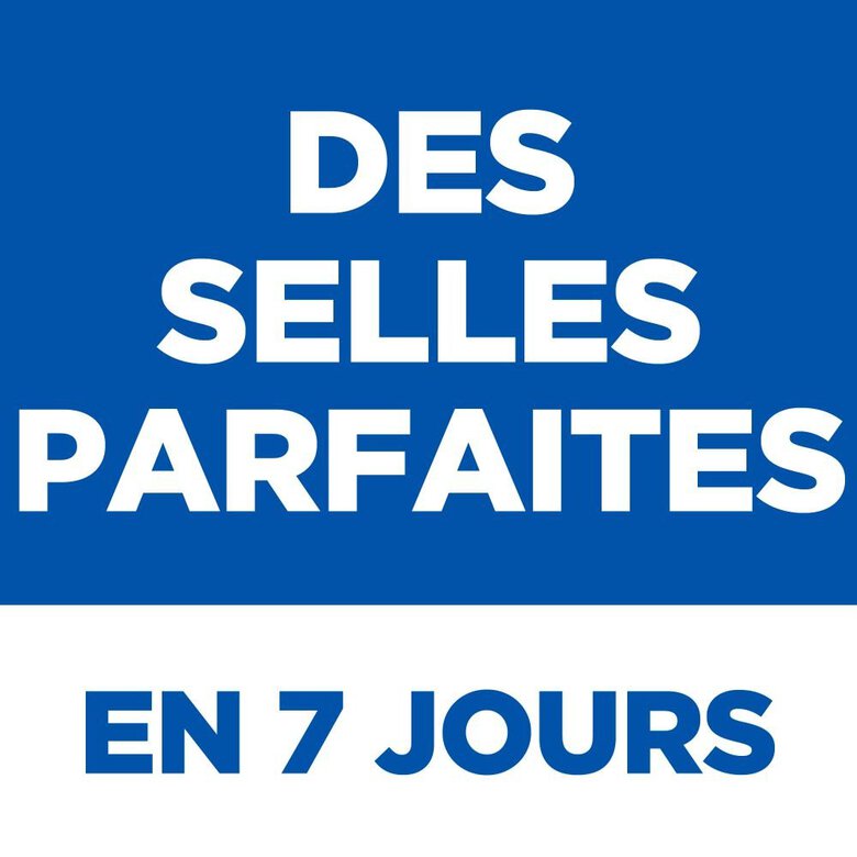 Hill's Science Plan - Perfect Digestion Small & Mini Croquettes Pour Chien  -  1,5kg Image numéro 5 Hill's Science Plan - Perfect Digestion Small & Mini Croquettes Pour Chien  -  1,5kg Image numéro 5