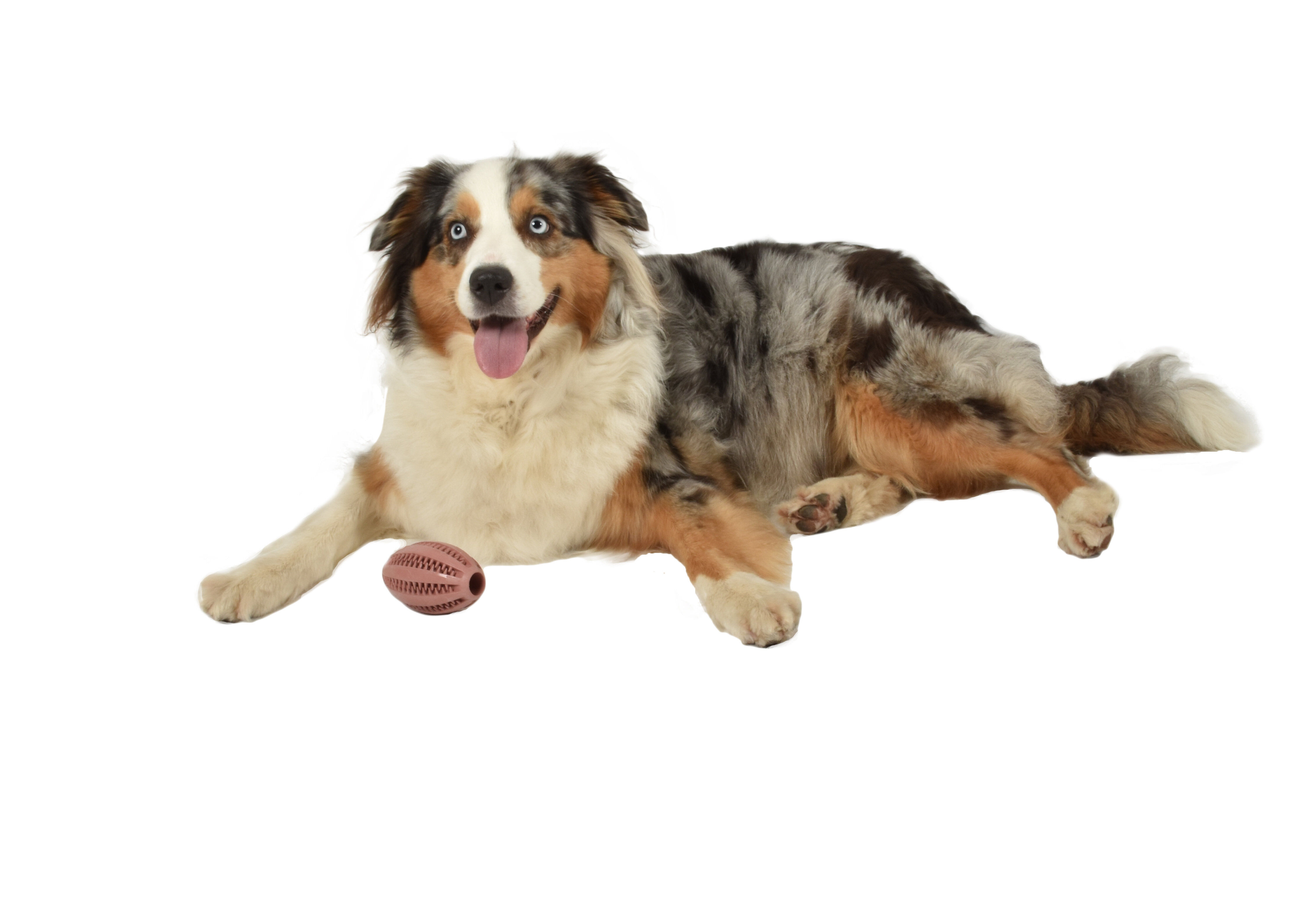 Bobby - Jouet Balle Caoutchouc Cache Friandises Rose pour Chiens Image num&eacute;ro 3