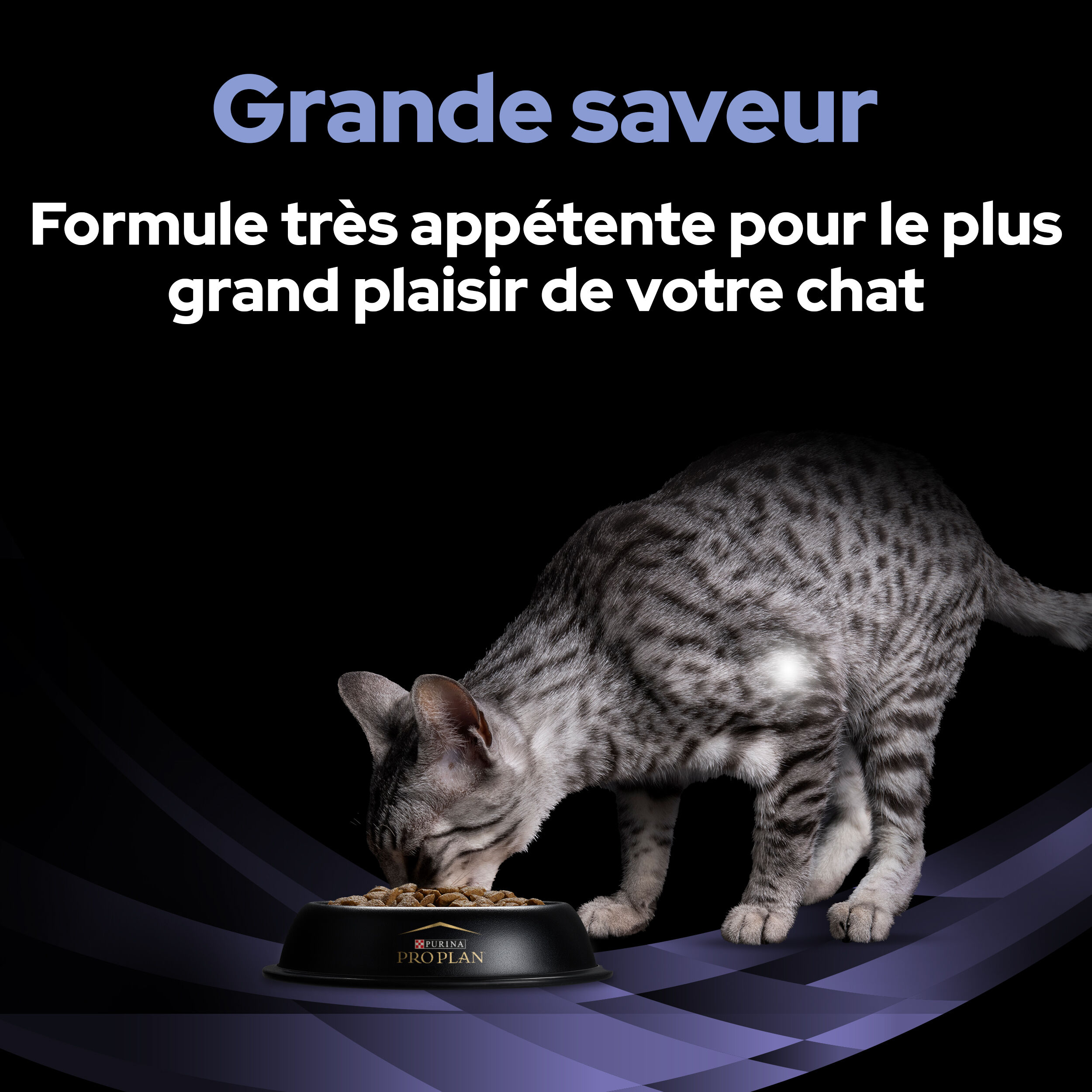 Pro Plan - Sachets FortiFlora Feline Probiotic pour Chats - x30 Image num&eacute;ro 13