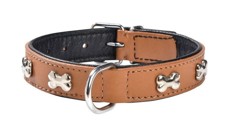 Bobby - Collier Extra Souple Camel XL pour Chiens - XL 47cm Image numéro 1 Bobby - Collier Extra Souple Camel XL pour Chiens - XL 47cm Image numéro 1