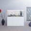 Ciano - Aquarium Emotions Pro 150 Blanc - 300L Indicateur image numéro 3