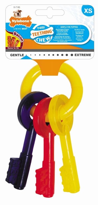 Nylabone - Jouet Clé Puppy Teething Chew pour Chien - XS Image numéro 1 Nylabone - Jouet Clé Puppy Teething Chew pour Chien - XS Image numéro 1