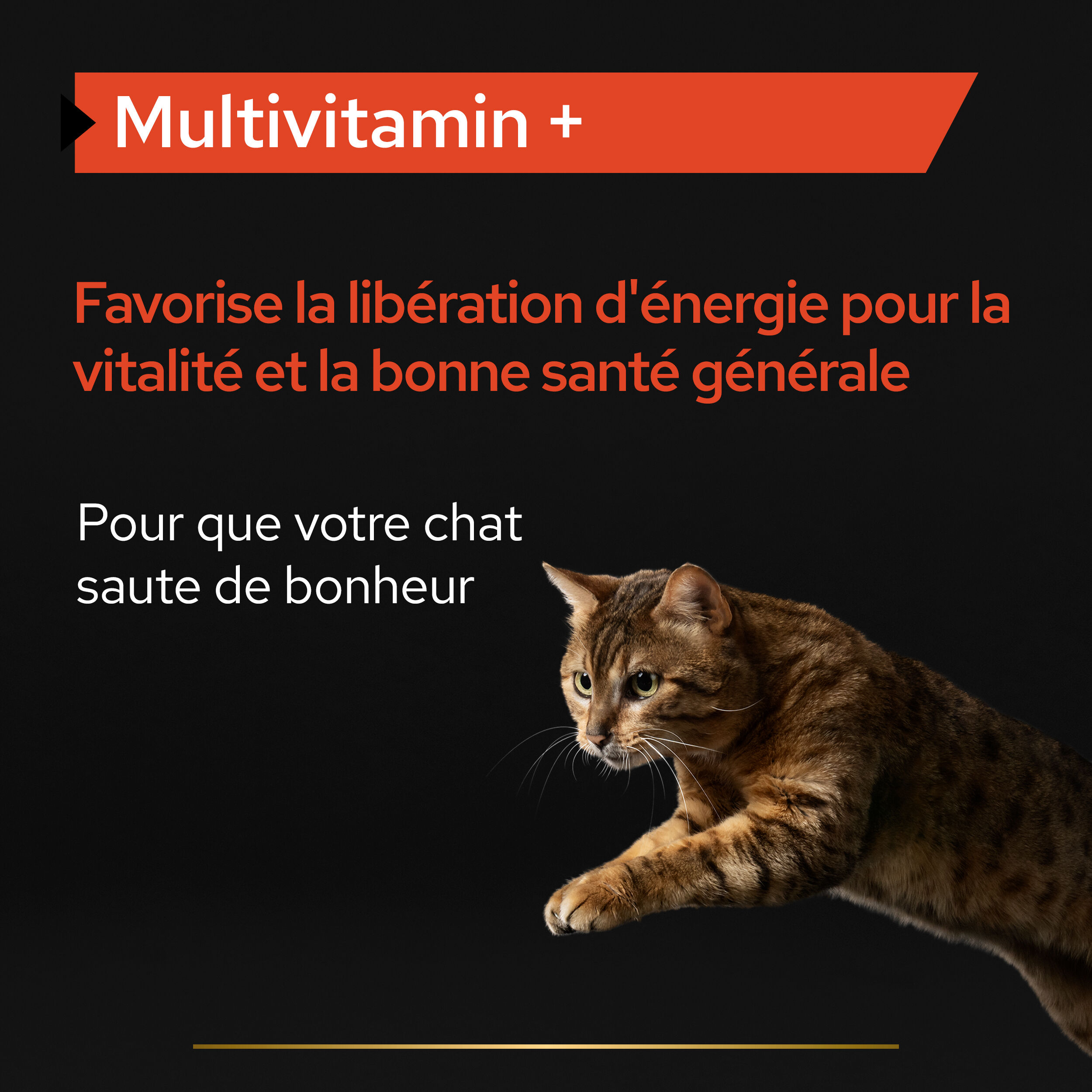 Pro Plan - Aliment Compl&eacute;mentaire Multivitamins+  en Poudre pour Chats - 60g Image num&eacute;ro 3