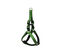 Gotoo - Harnais en Nylon Premium Vert pour Chien - XS Indicateur image numéro 1