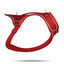 Curli - Harnais Belka Air-Mesh en Rouge pour Chien - S Indicateur image numéro 2