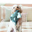 KONG - Peluche Comfort Kiddos Elephant pour Chien - S Indicateur image numéro 2