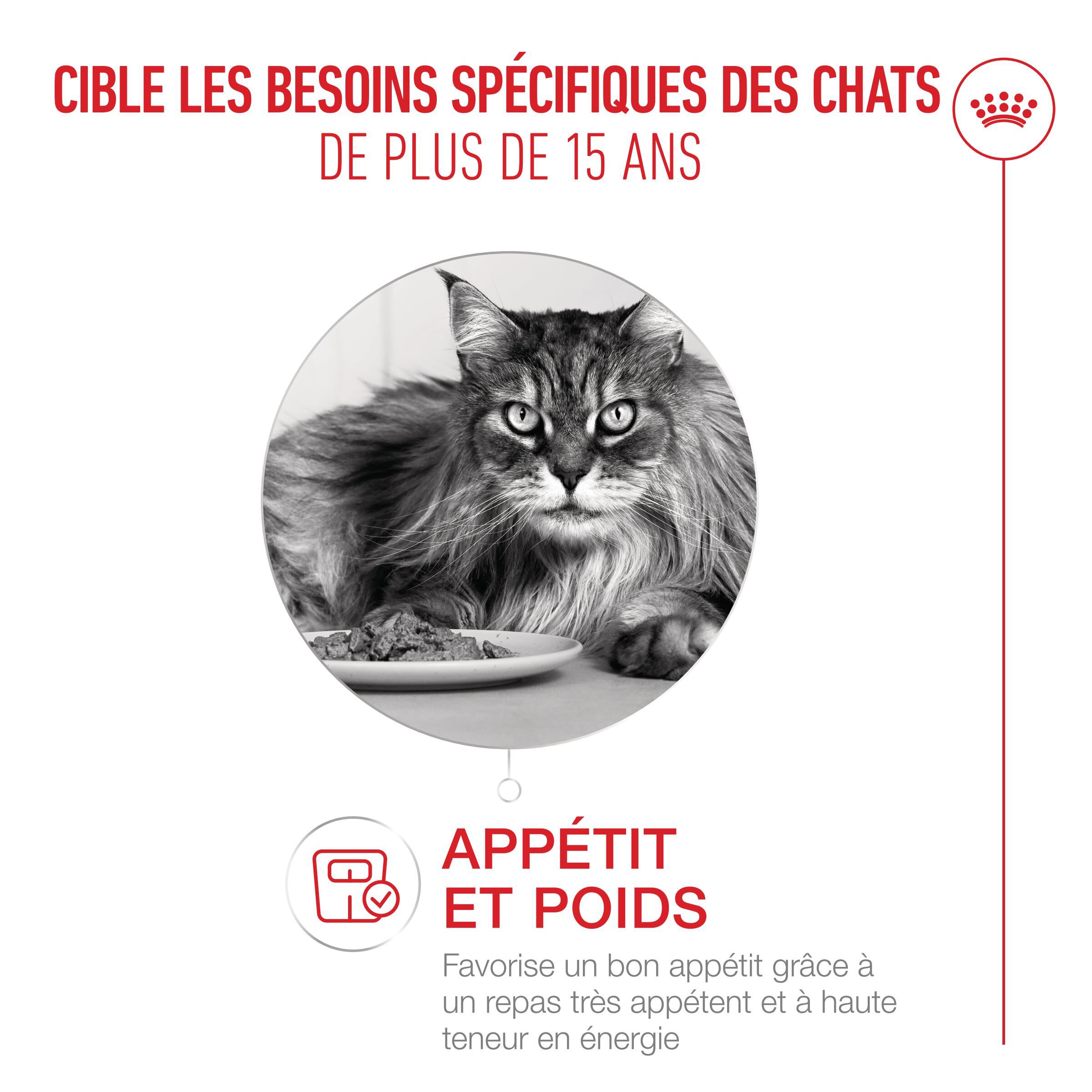 Royal Canin - P&acirc;t&eacute;e en Sauce Ageing 15+ pour Chats Senior - 12x85g Image num&eacute;ro 4