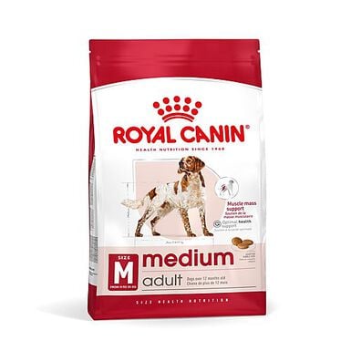 Royal Canin - Croquettes Medium Adult pour Chien de Taille Moyenne