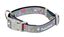 FuzzYard - Collier Coachella pour Chien - L Indicateur image numéro 1